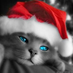 Meet your Posher, Vera